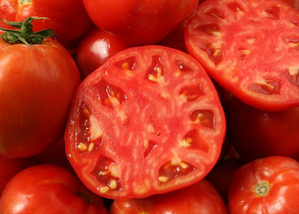 توزیع کننده گوجه فرنگی عمده